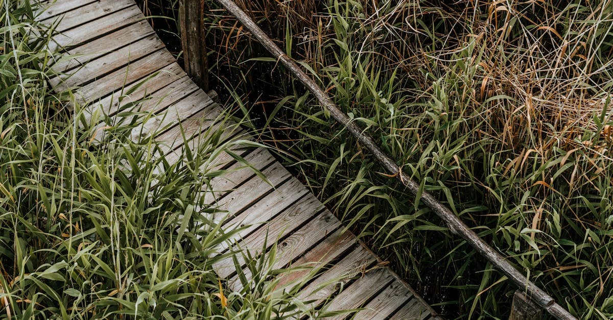 หวยหุ้นบนล่าง ครบทุกตลาด วิธีเล่นและอัตราจ่าย | HPSACS แทงหวย