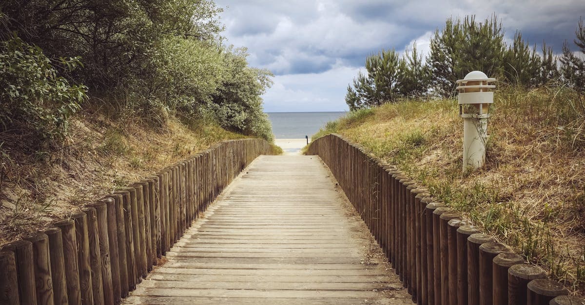 หวยหุ้นช่อง 9 บนล่าง วิธีดูผลและเทคนิคเลือกเลข | HPSACS แทงหวย