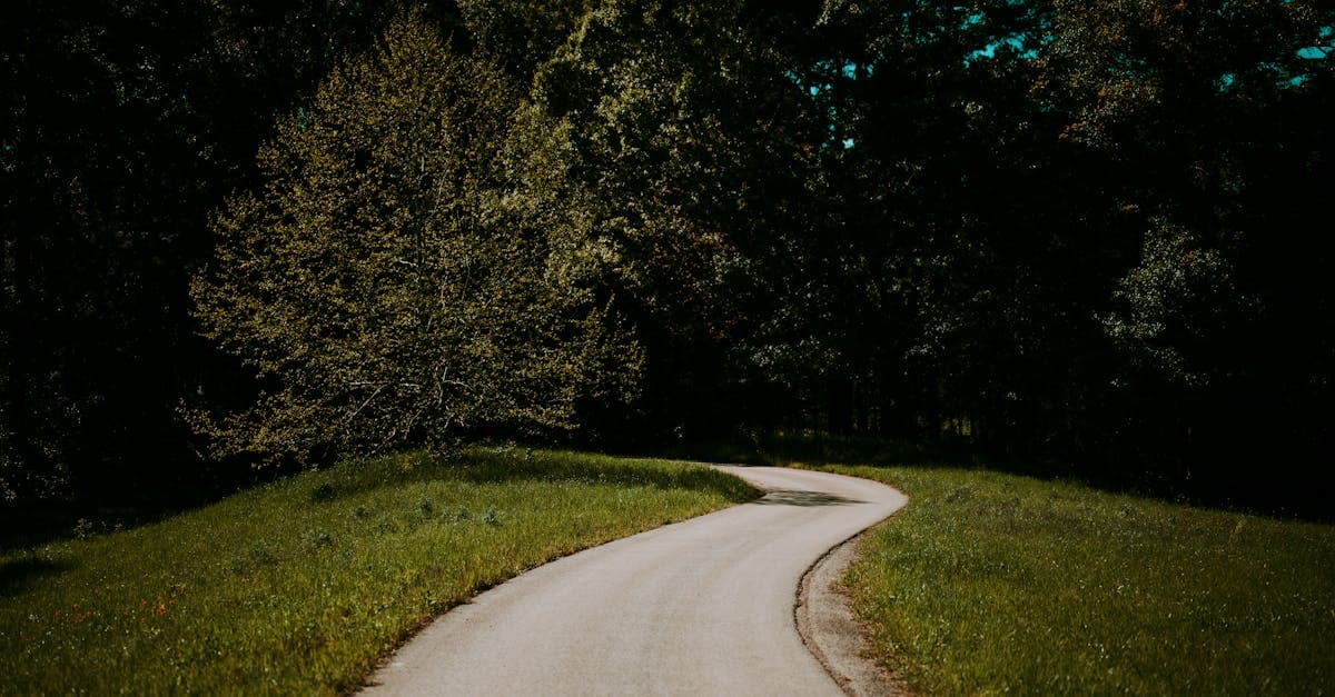 สถิติหวยลาวย้อนหลัง ครบทุกชนิด พัฒนา VIP สตาร์ | HPSACS แทงหวย